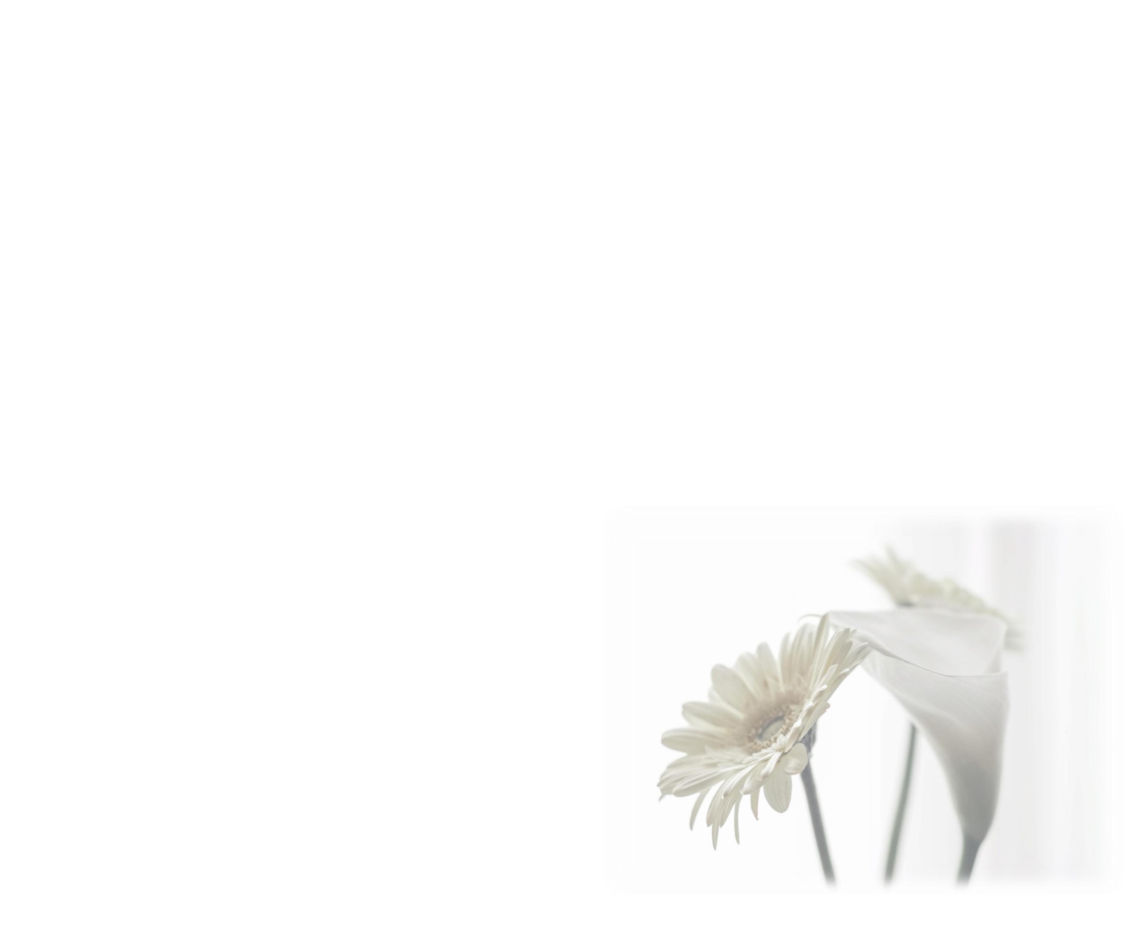 Letter Of Condolence