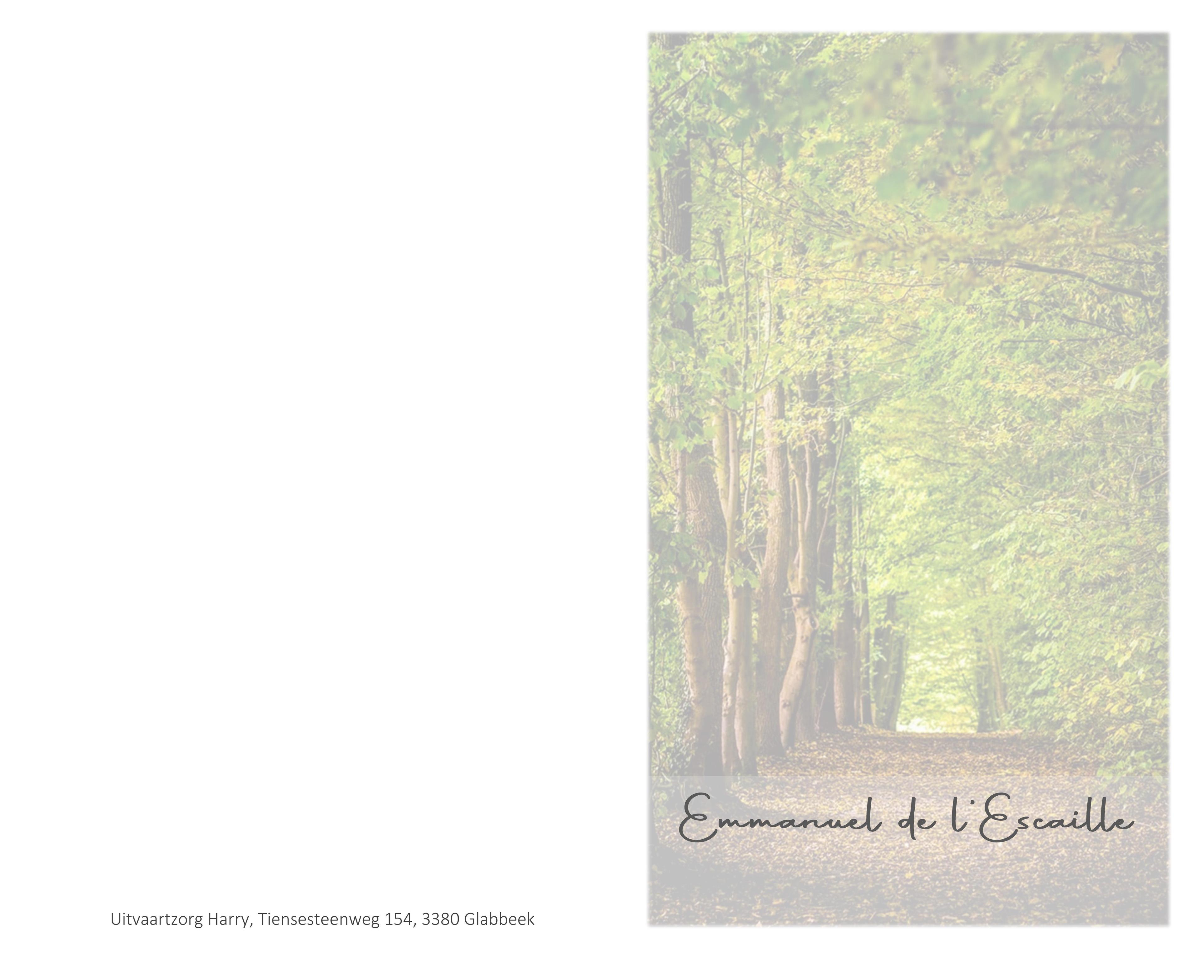 Letter Of Condolence