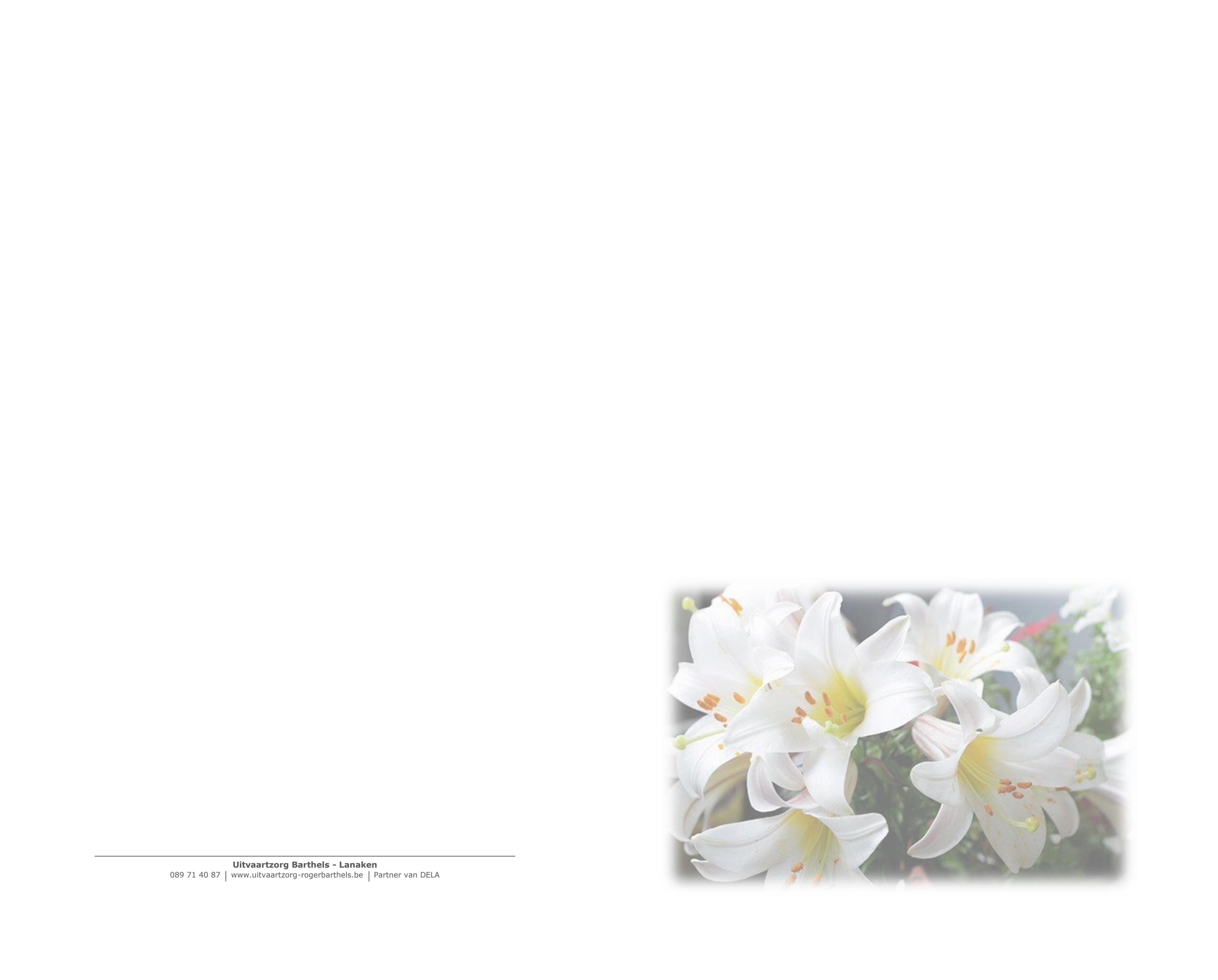 Letter Of Condolence