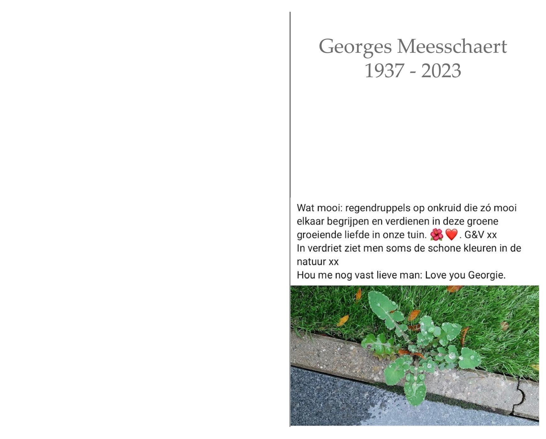 Letter Of Condolence